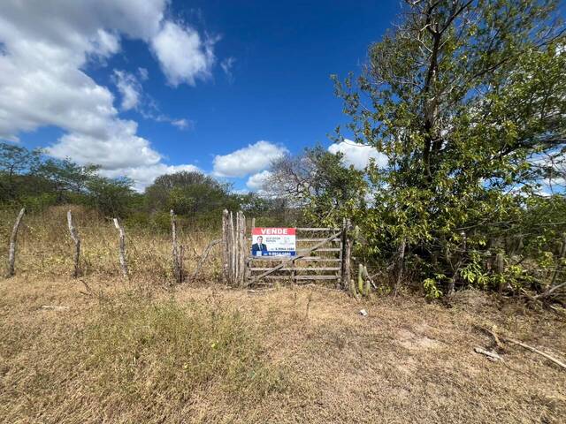 Terreno para Venda em Limoeiro do Norte - 3